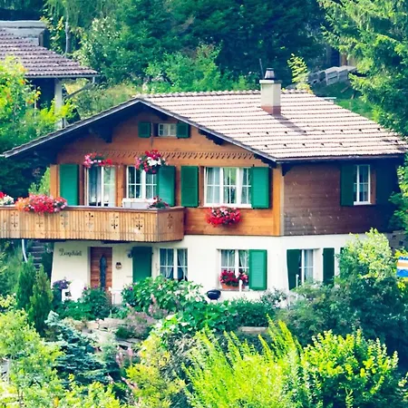 شقة Baergchutzli 1- Stock Appartement-fewo- Bad- Wc- 2 Schlafraeume 3-zimmerwohnung By Interhome *